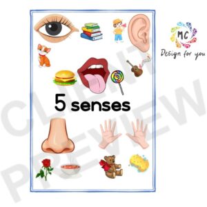 5 senses poster