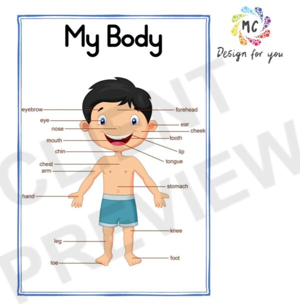 My Body poster - Image 2